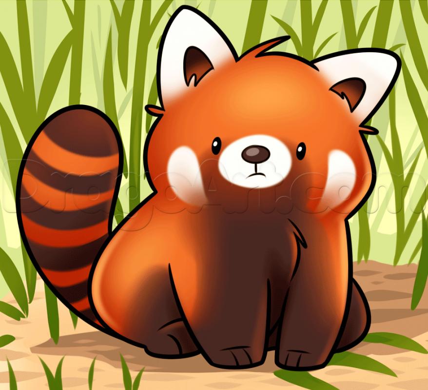 How to Draw a Red Panda, Step by Step, forest animals, Animals