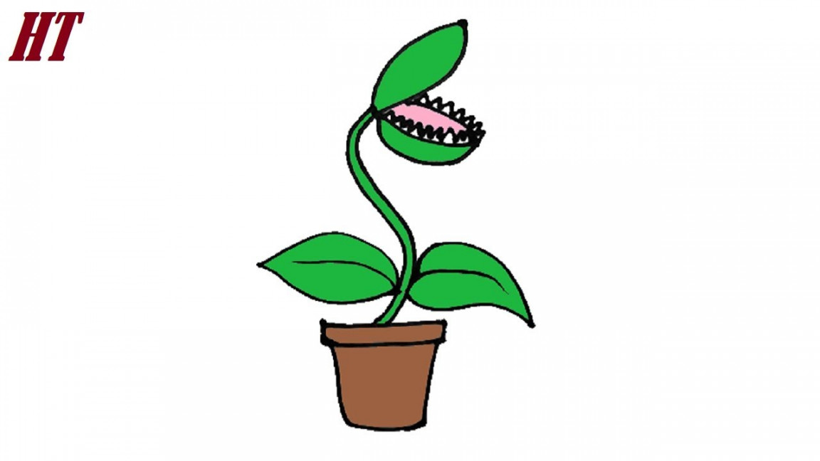 How to draw a Venus Flytrap