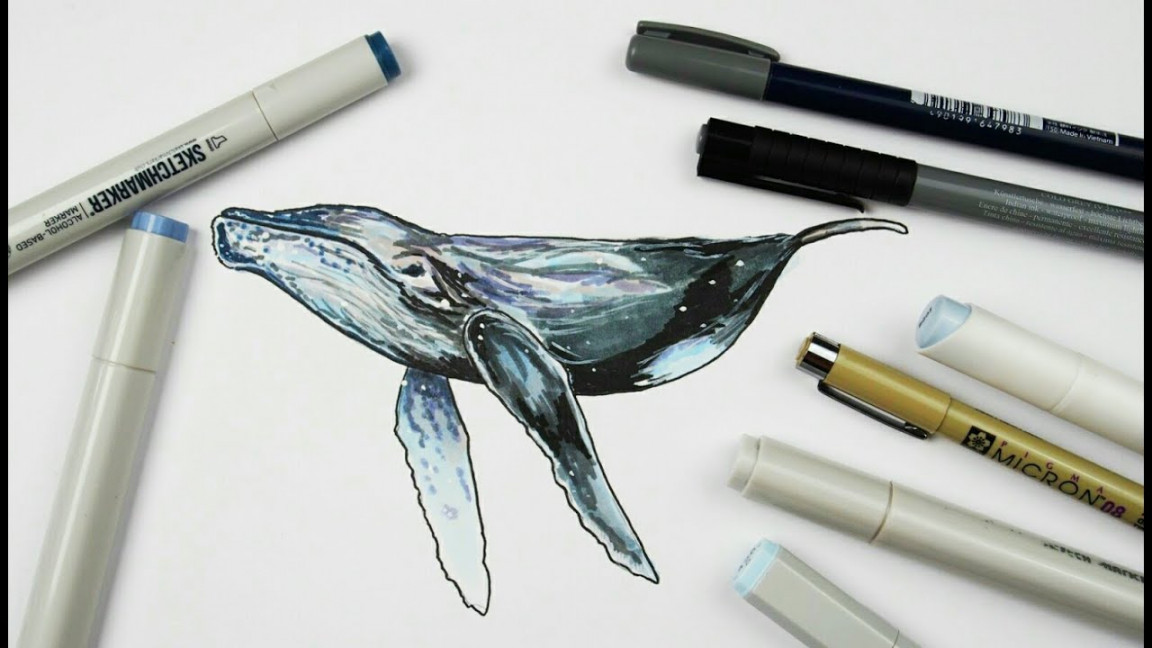 How to draw a whale with alcohol markers