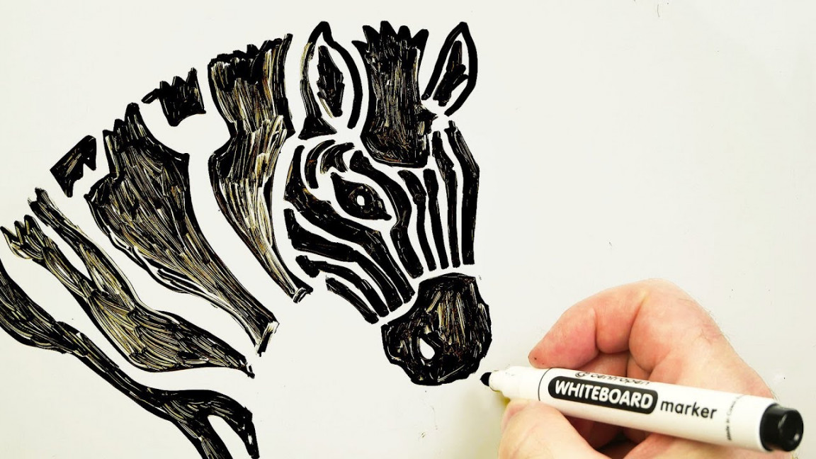 How to Draw a Zebra Head 🦓 Drawing Animals on a Whiteboard