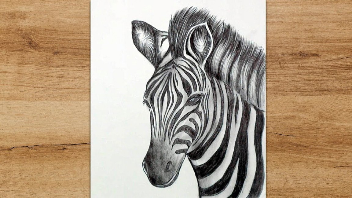 How to Draw a Zebra Head Step by Step Realistic Zebra Drawing