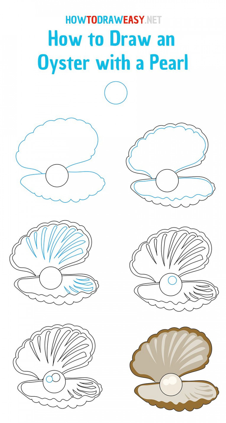 How to Draw an Oyster with a Pearl - How to Draw Easy  Seashell