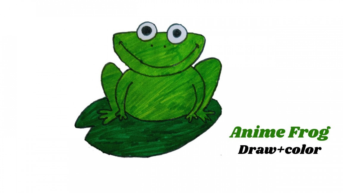 How to draw anime Frog