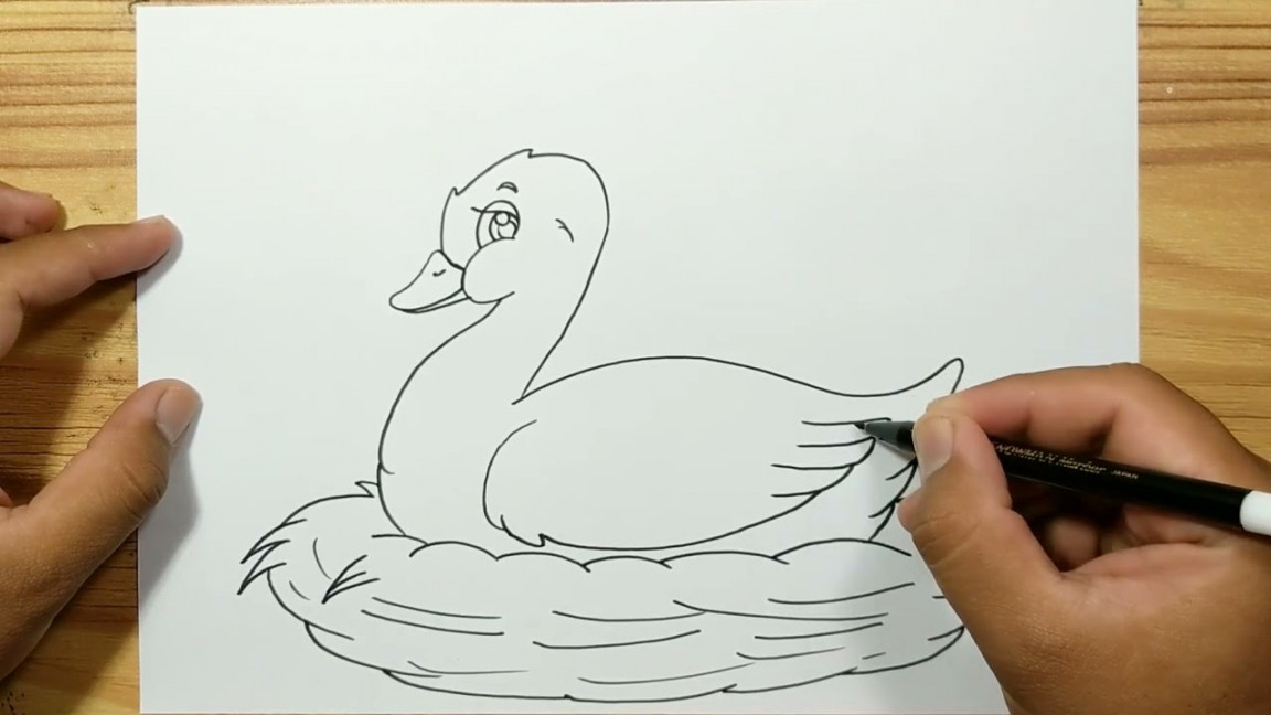 How to draw DUCK IN NEST