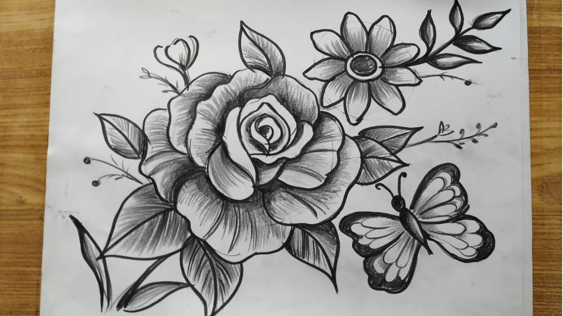 how to draw flowers & butterfly with pencil sketch,rose flower  drawing,butterfly drawing,