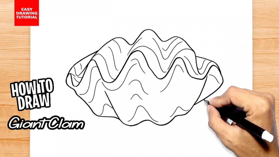 How to draw Giant Clam