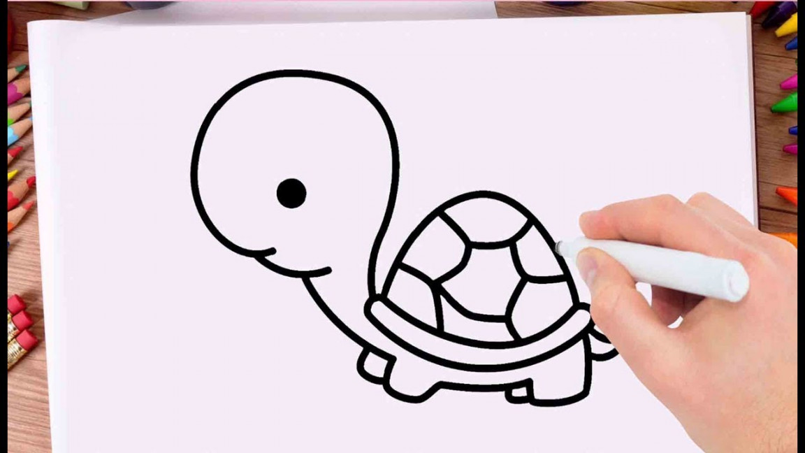 How to Draw Tortoise Easy Learn Drawing a Tortoise Step by Step for Kids