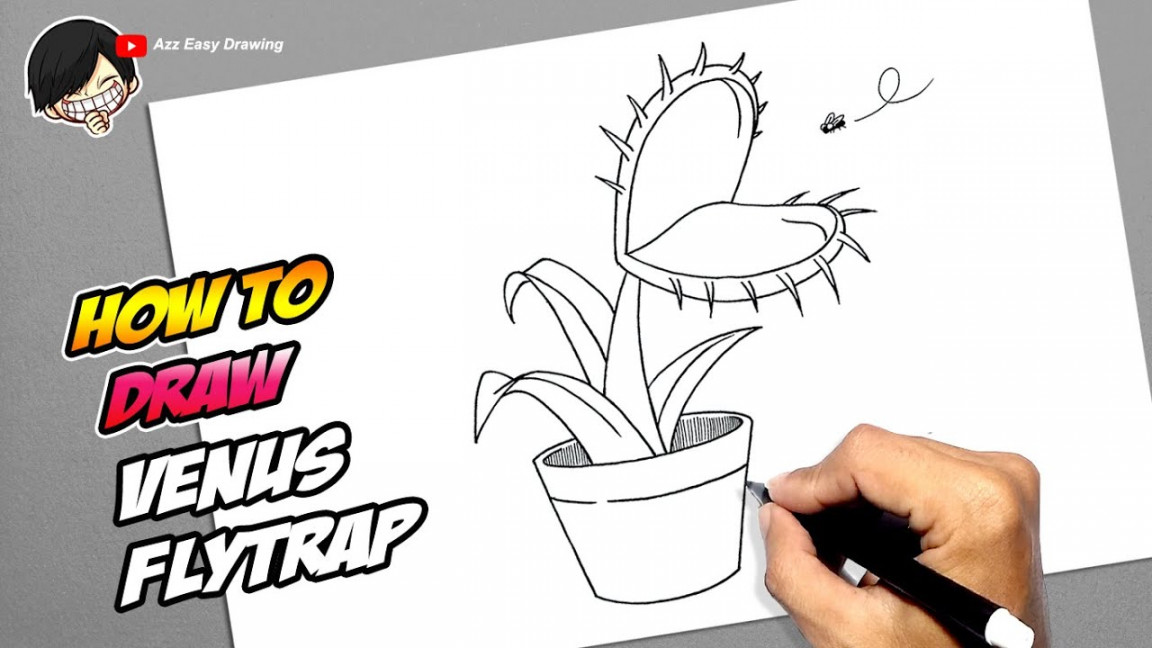 How to draw Venus Flytrap