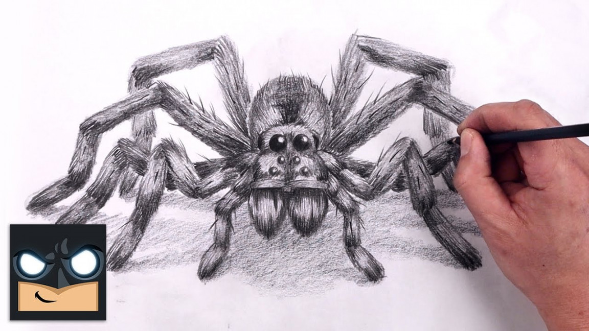 How To Draw Wolf Spider  Sketch Tutorial (Step by Step) - YouTube