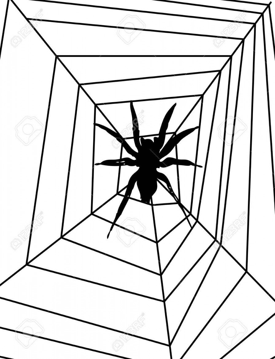 Illustrated D Spider On A Spider Web