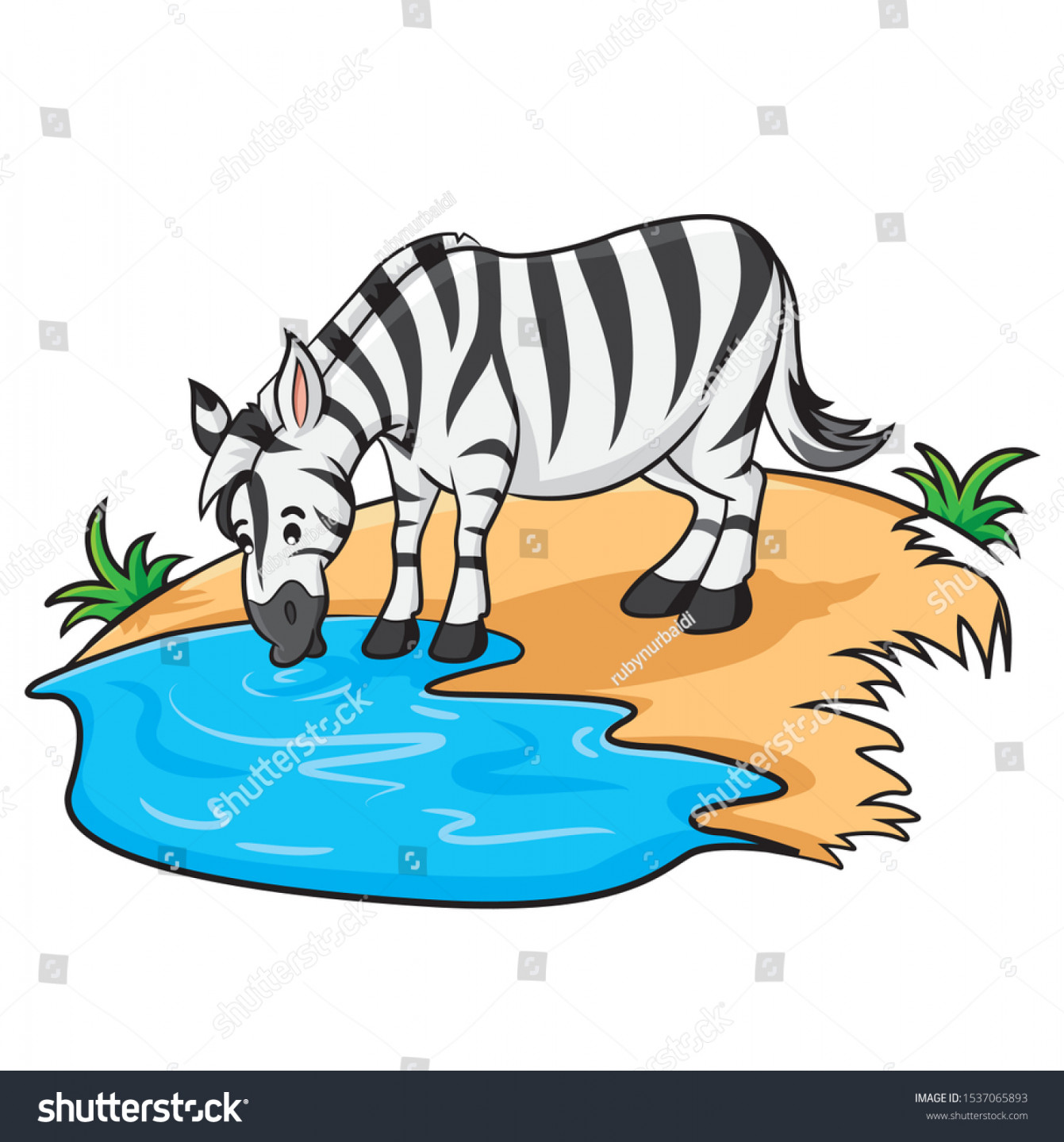 Illustration Cute Cartoon Zebra Drinking Water Stock Vector