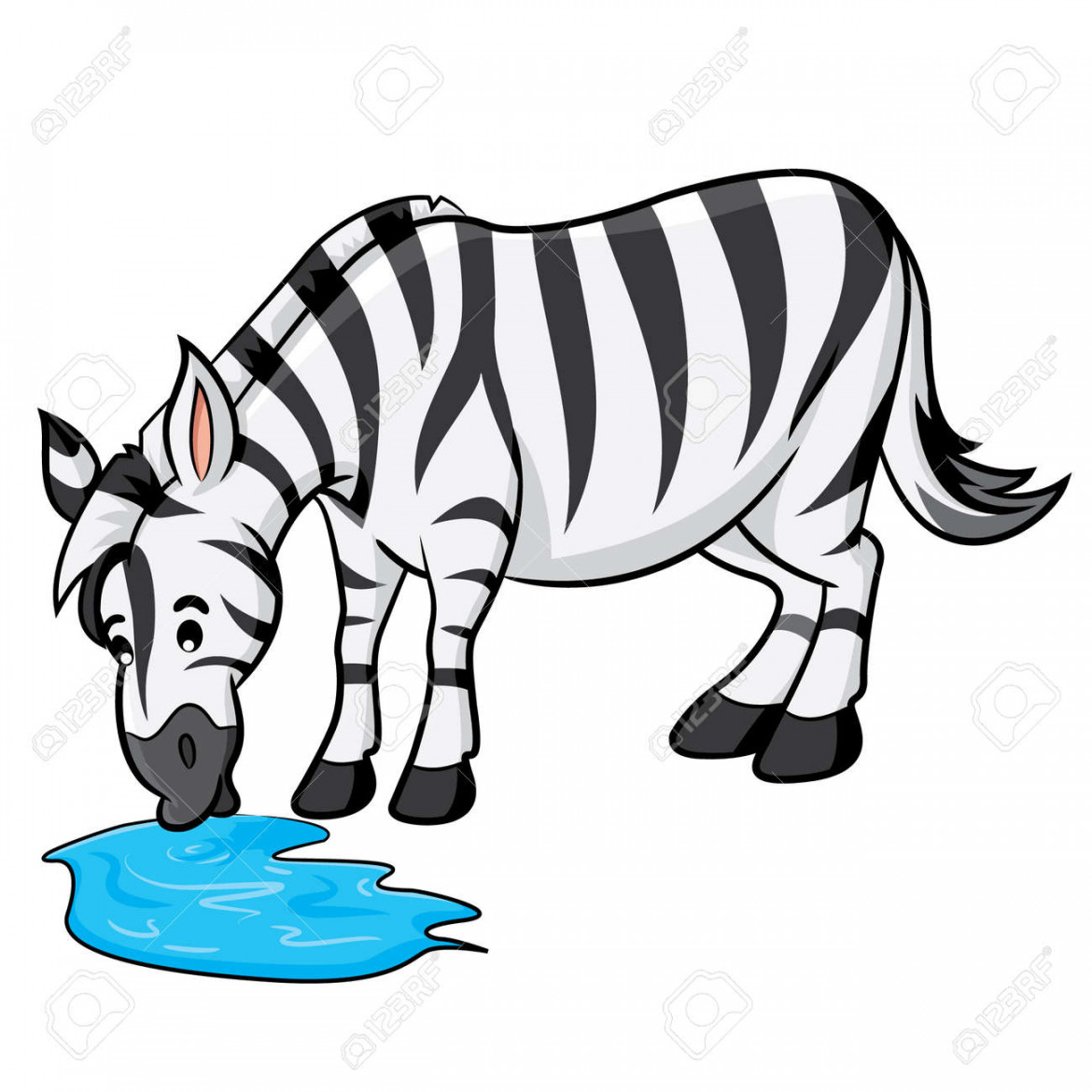 Illustration Of Cute Cartoon Zebra Drinking Of Water Royalty Free