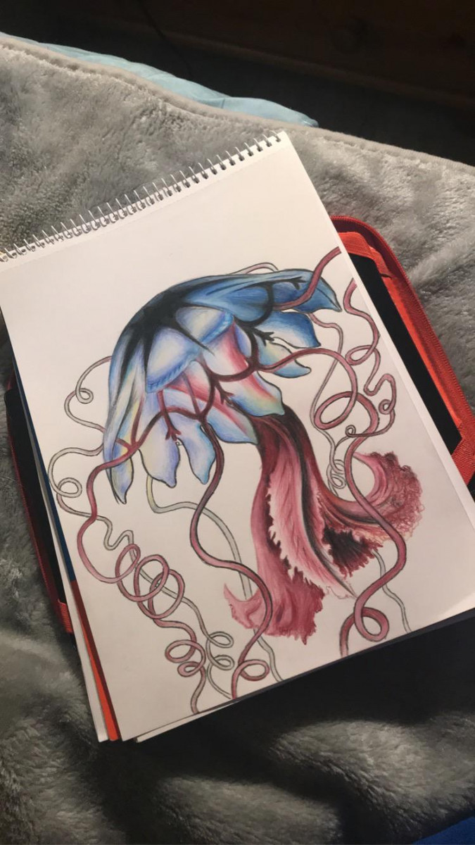 Jellyfish drawing for GCSE art :) : r/drawing