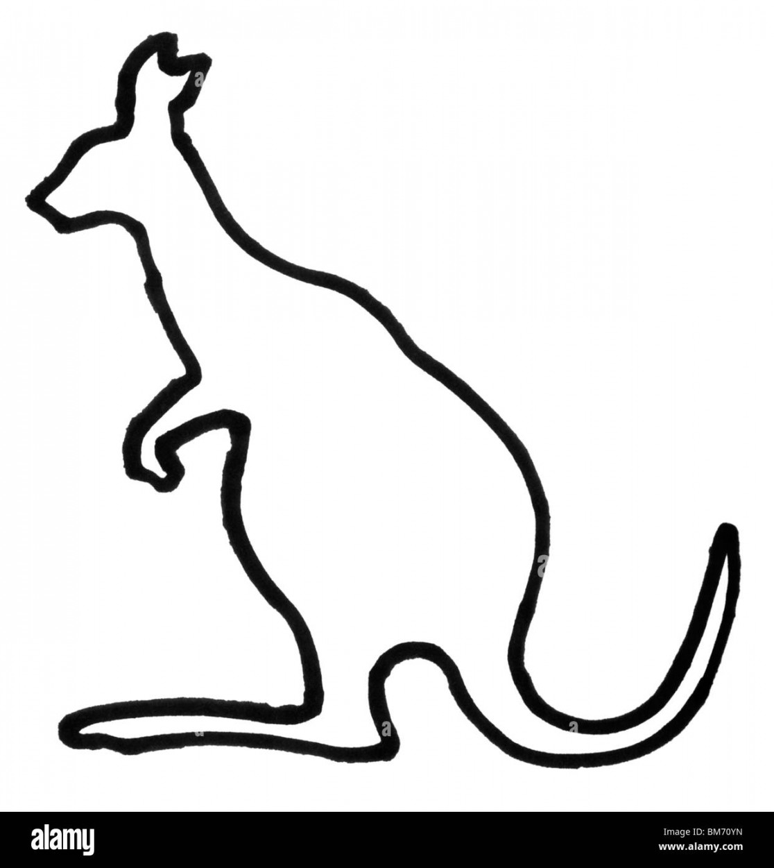 Kangaroo outline Black and White Stock Photos & Images - Alamy