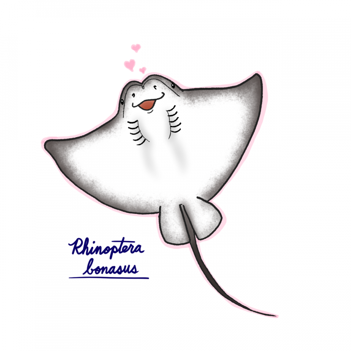 Ketrina draws a lot! — Raypril Day : The Cownose Ray has the