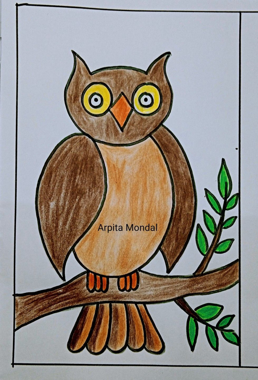 Kids drawing an owl  Illustration art kids, Easy cartoon drawings