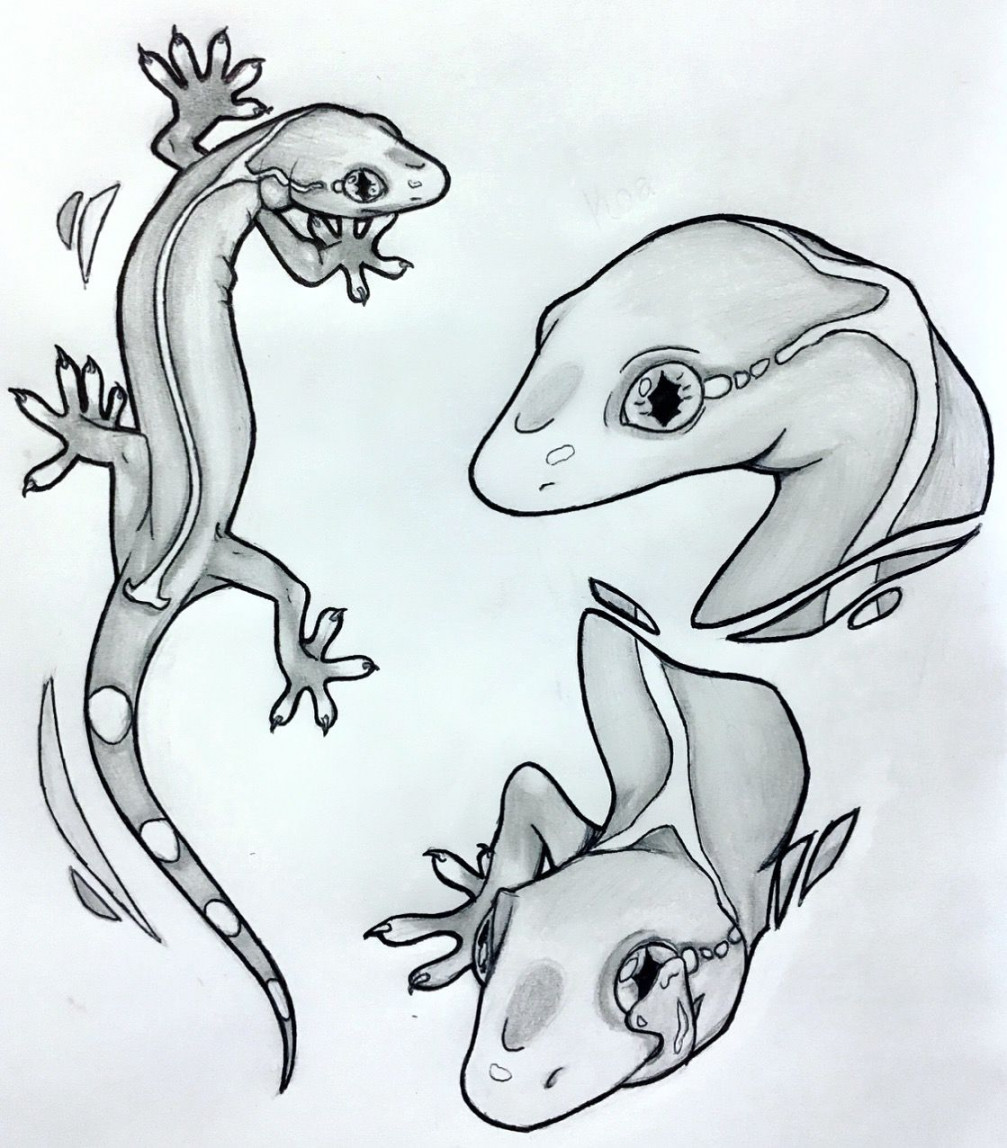 Koa, gekko, lizard drawing  Doodle art designs, Cute drawings