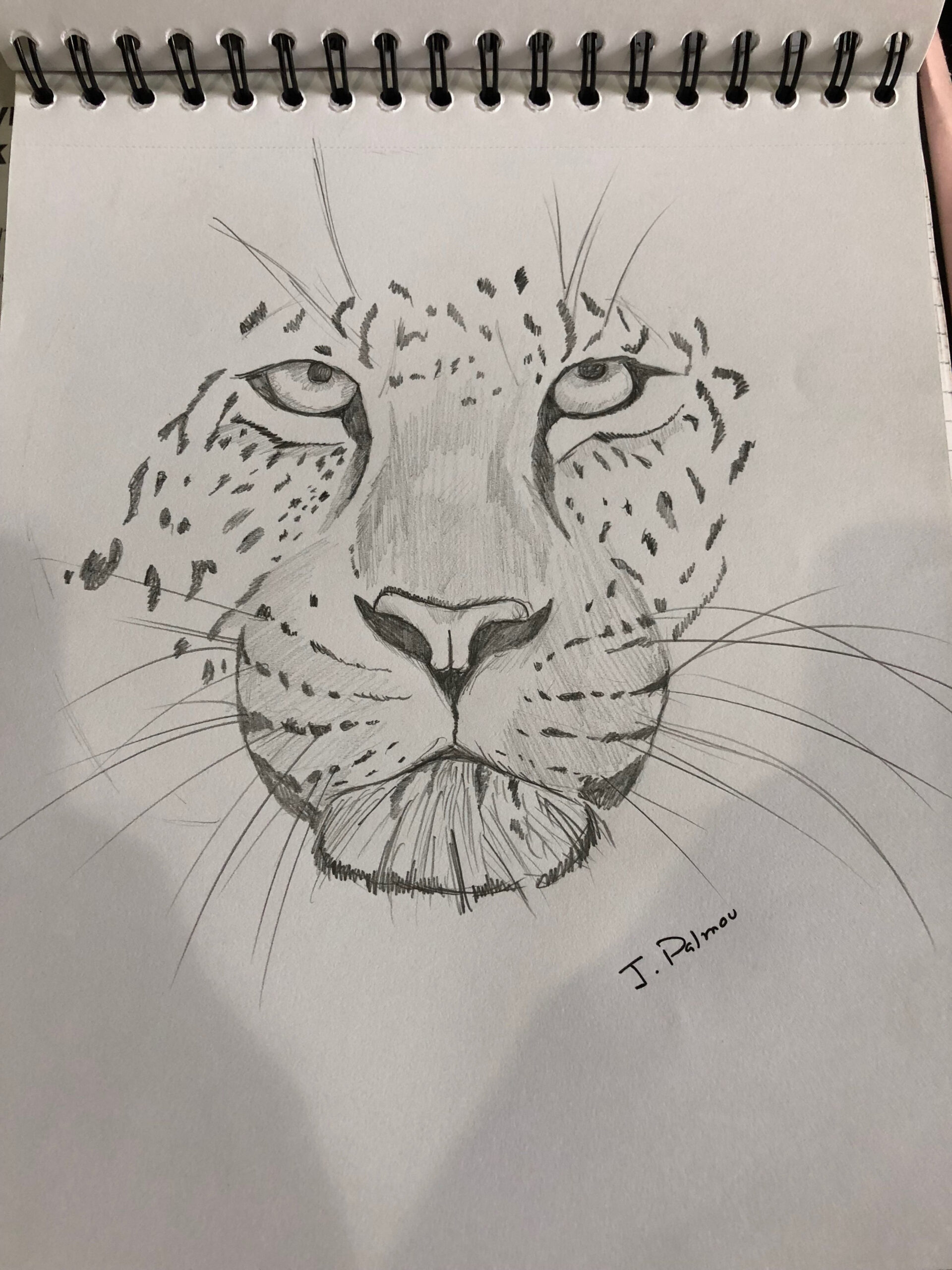 Leopard pencil Drawing  Leopard drawing, Leopard sketch, Book art