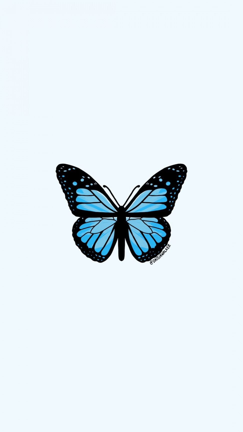 Light Blue Butterfly  Blue butterfly wallpaper, Butterfly