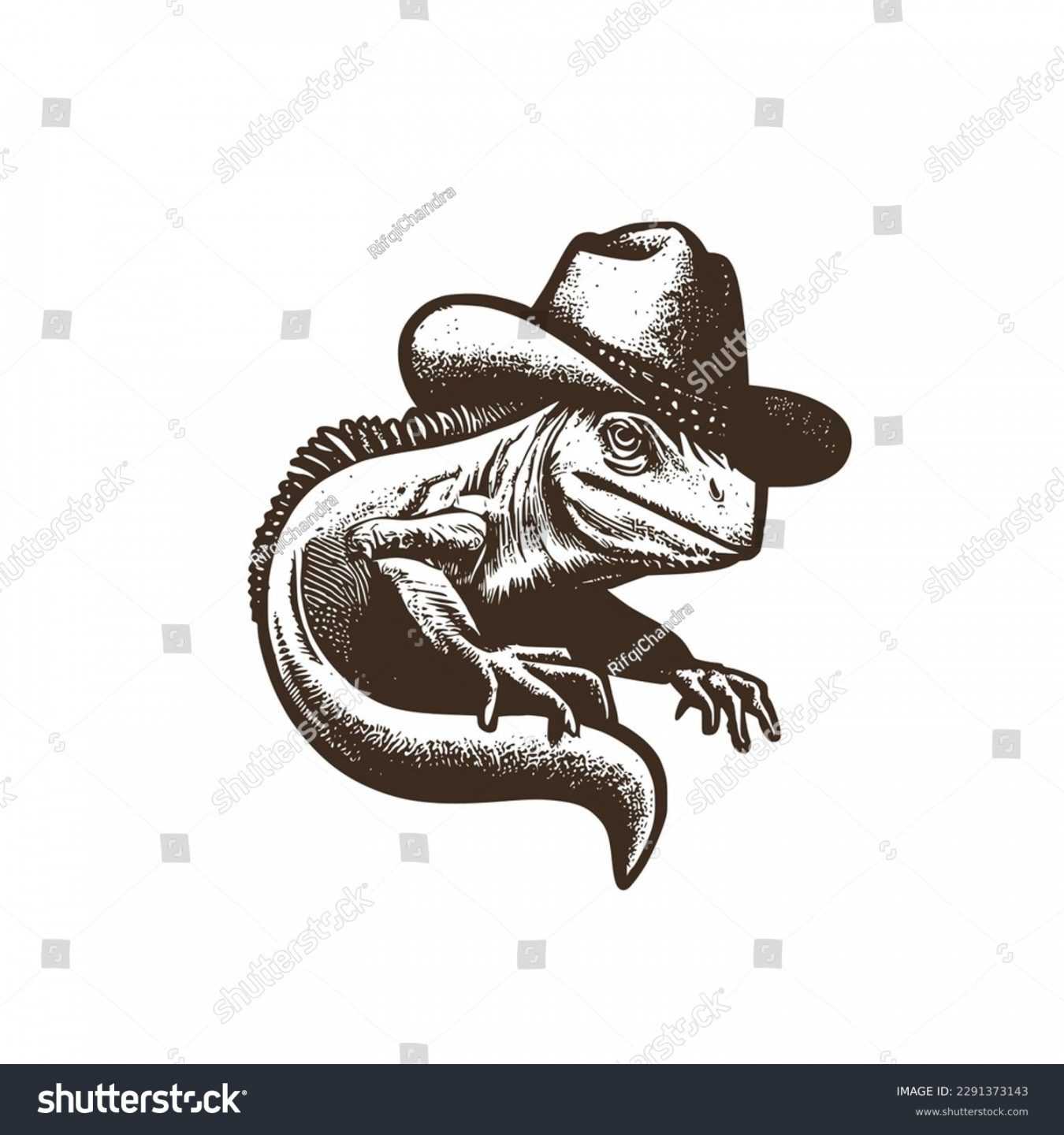 Lizard Wearing Cowboy Hat Images, Stock Photos, D objects