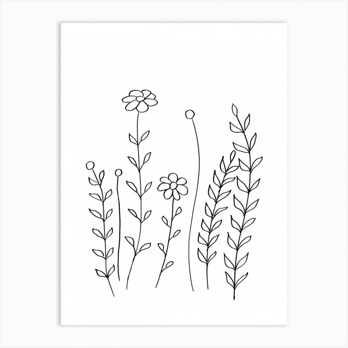 Minimal Flowers And Leaves  Art Print  Line art flowers, Floral