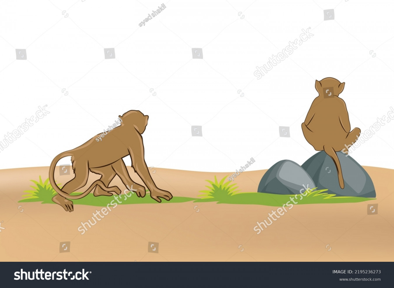 Monkey Back View Vector Art Image Stock Vector (Royalty Free