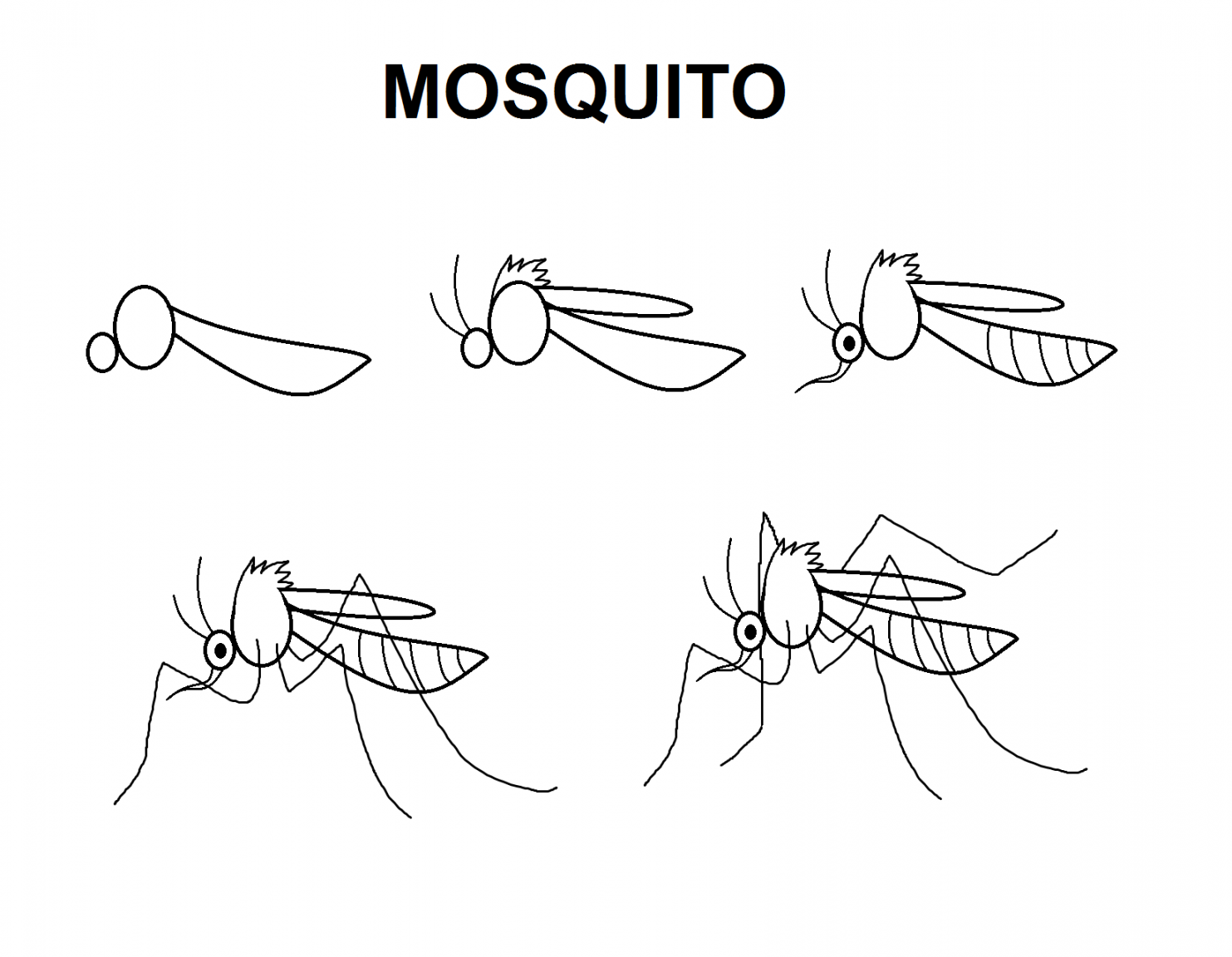 Mosquito  Mosquito drawing, Mosquito, Drawing tutorial easy