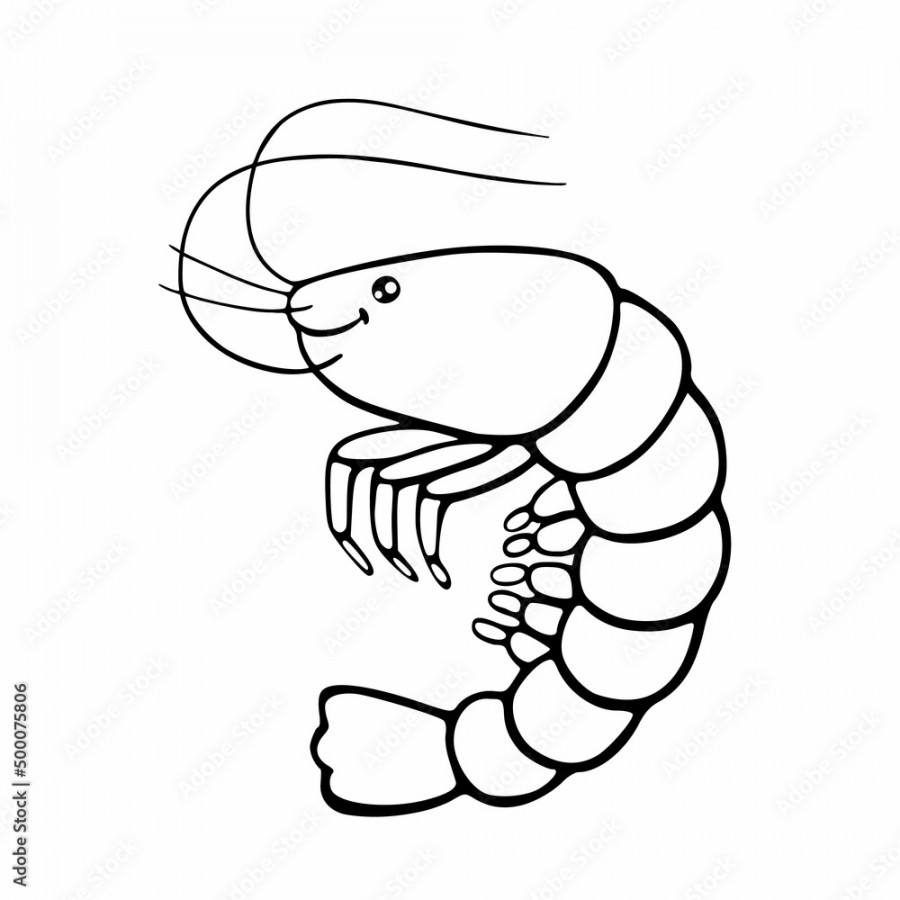 Outline drawing of cartoon shrimp