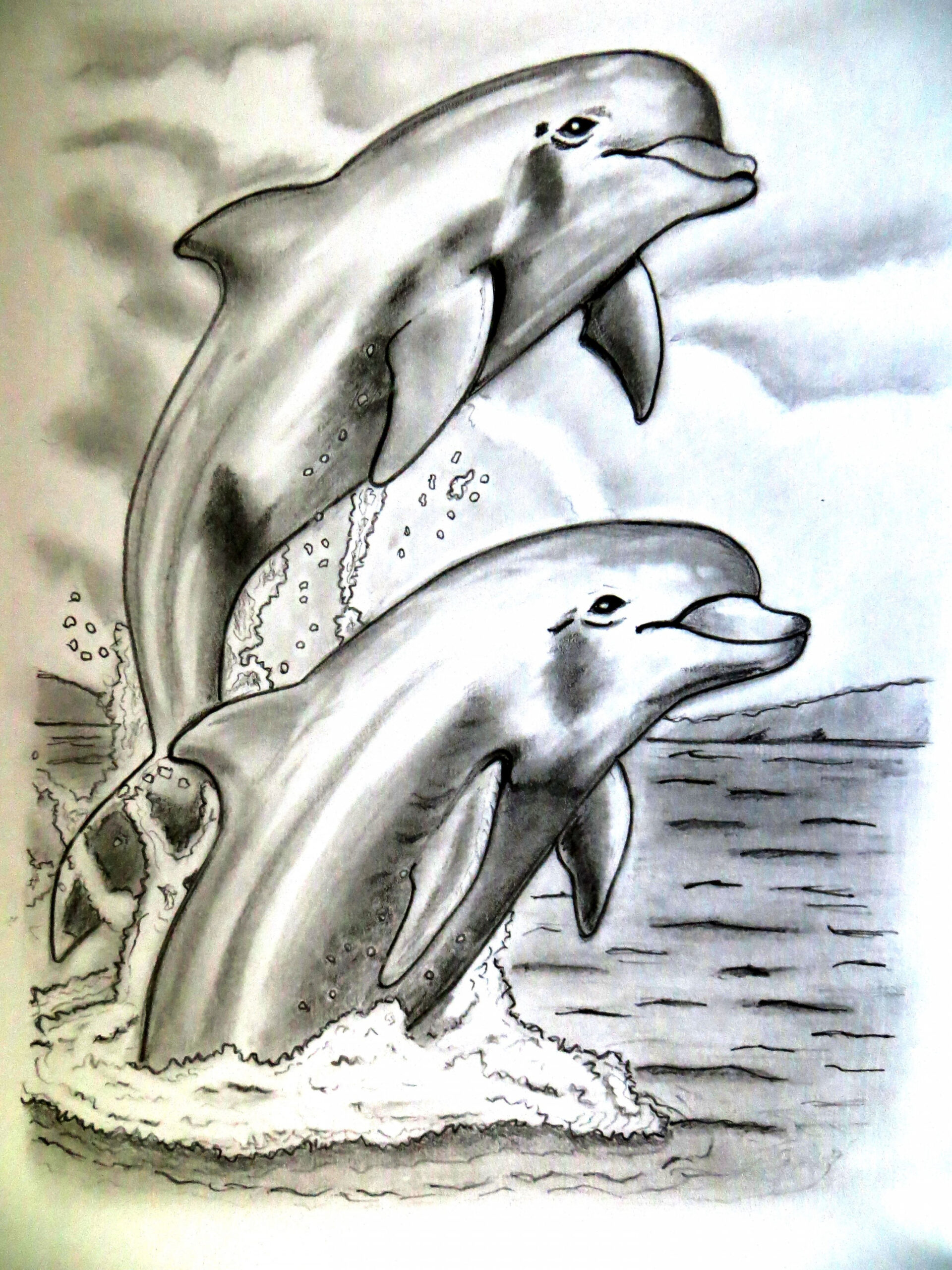 pencil #drawing #art #dolphin  Dolphin drawing, Dolphin art