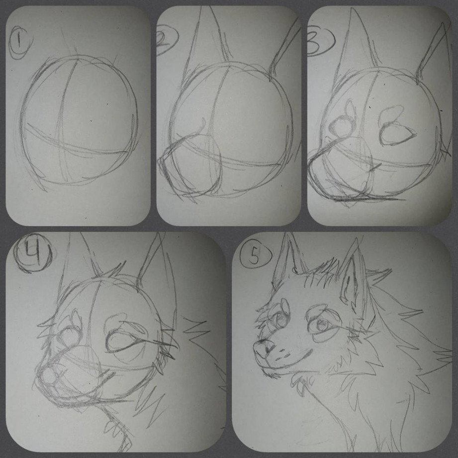 / Perspective Wolf Tutorial (My way) by Coconeko-chan on DeviantArt