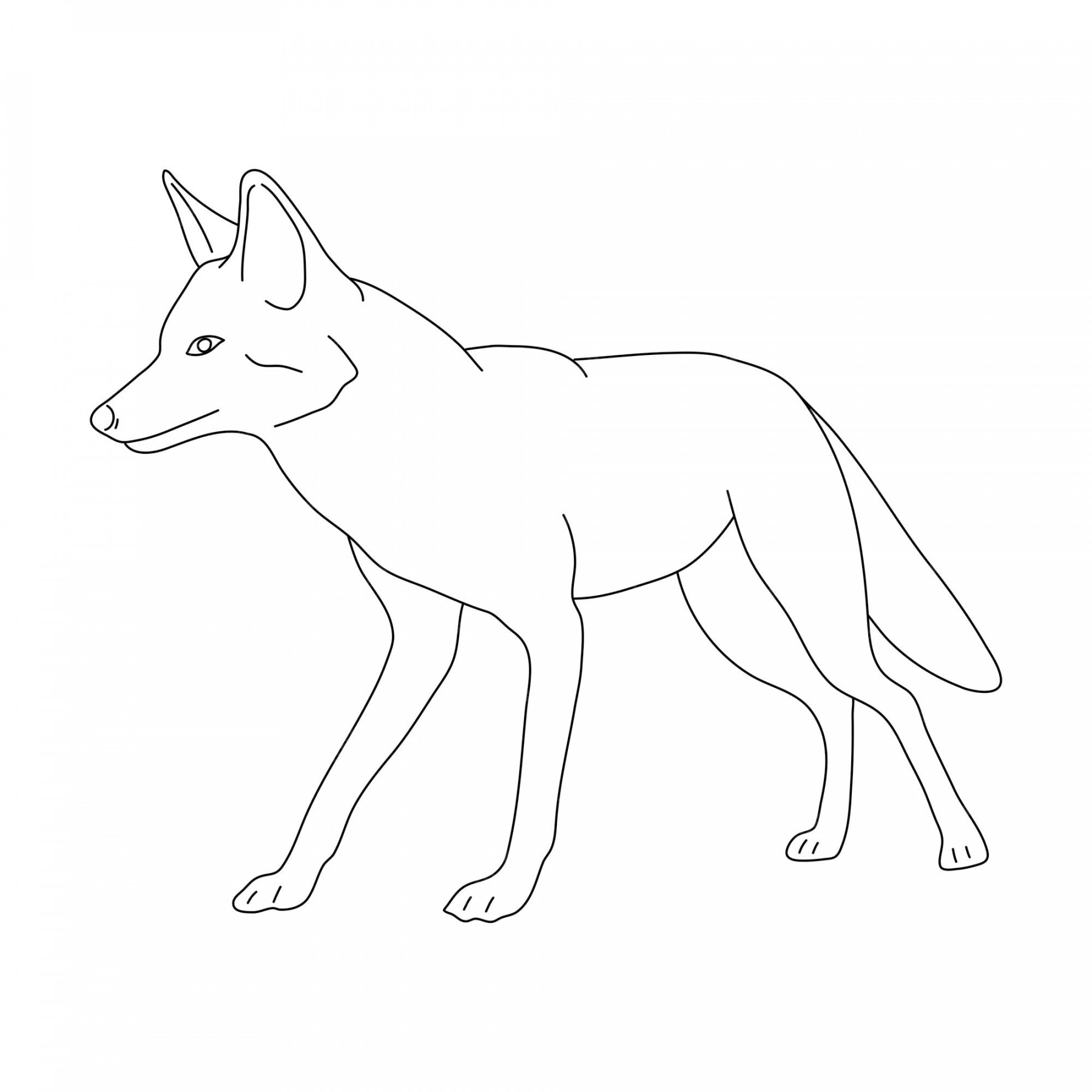 Premium Vector  Sketch of jackal hand drawn vector illustration