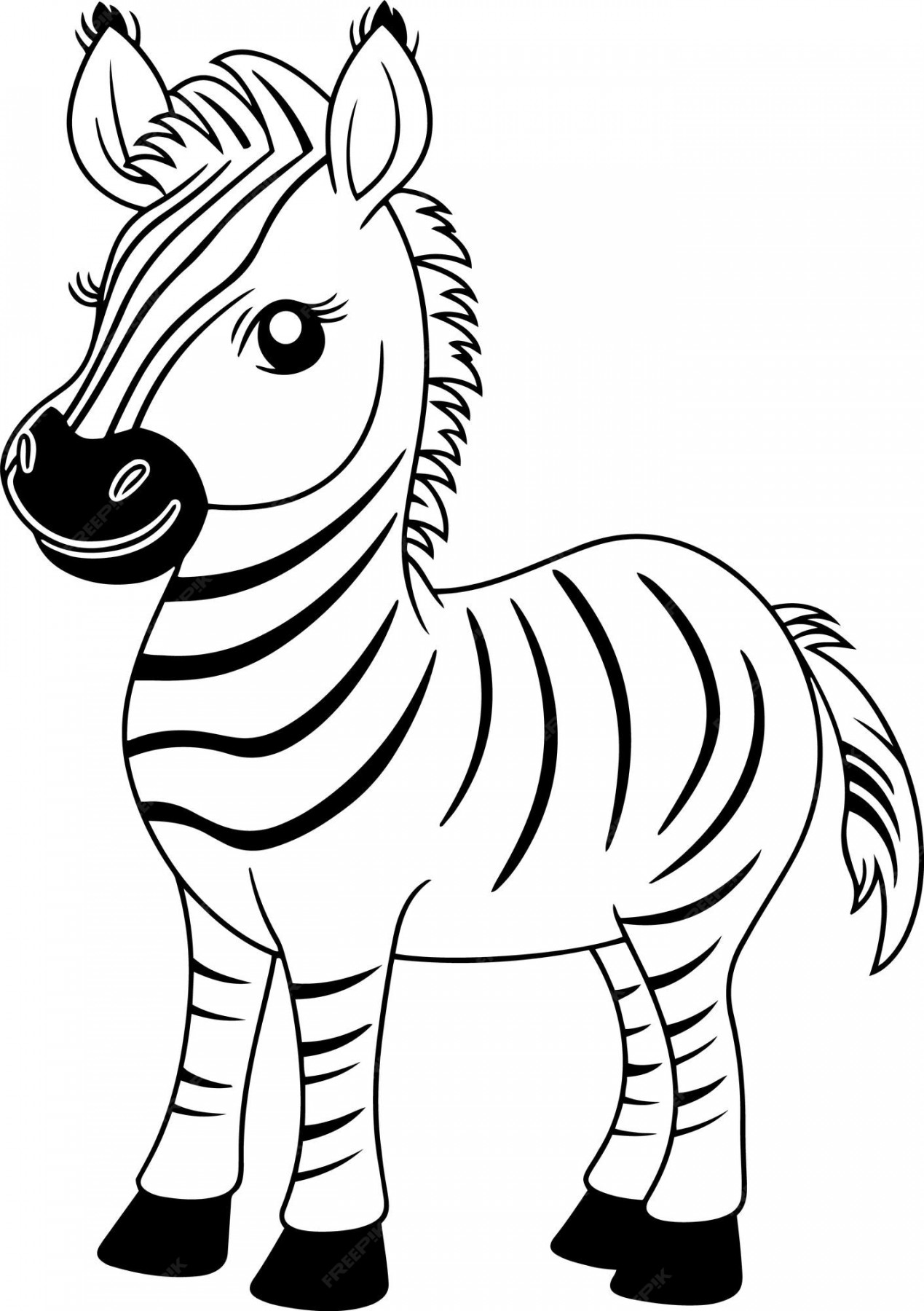 Premium Vector  Zebra vector illustration black and white outline