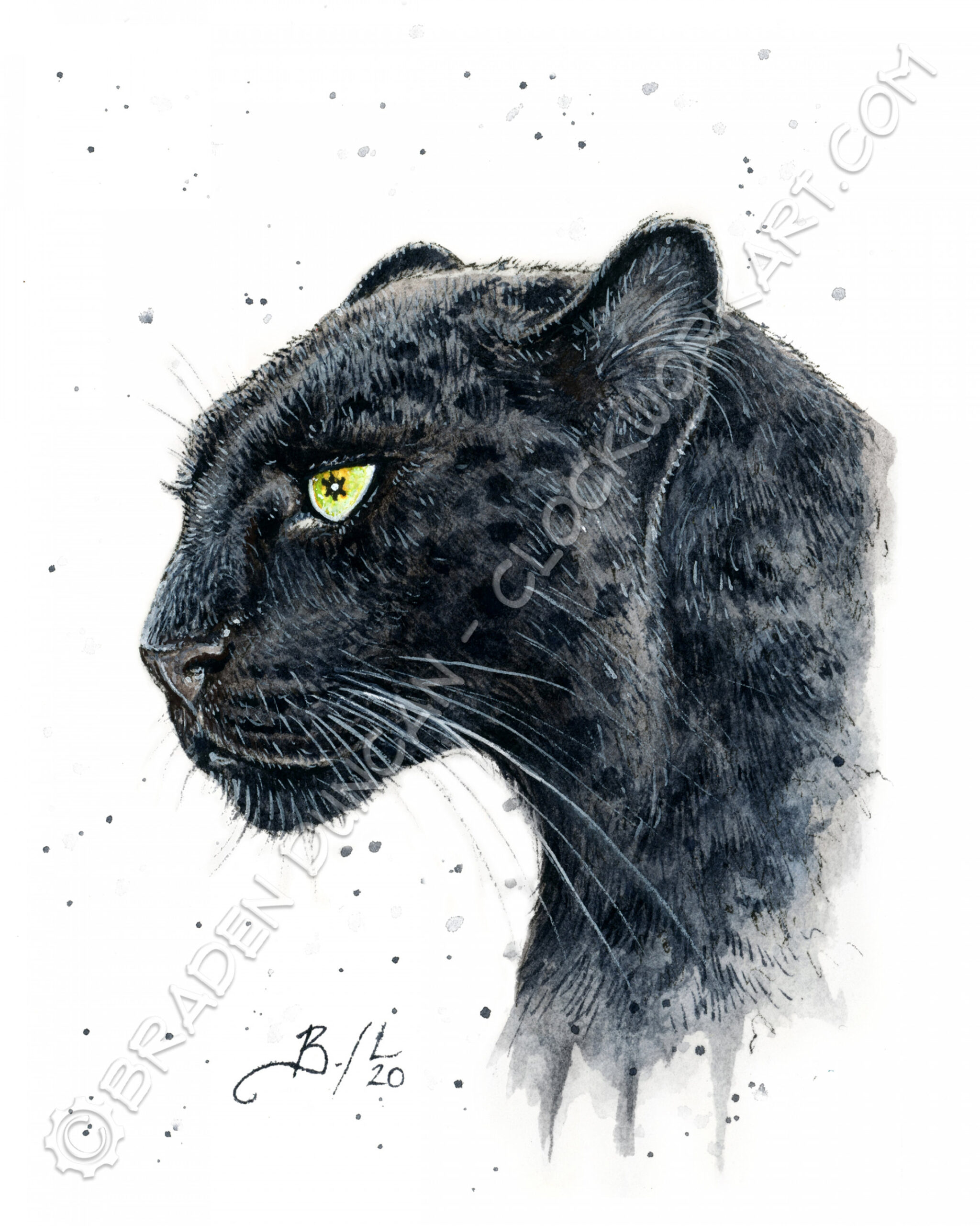 PRINT - Black Jaguar