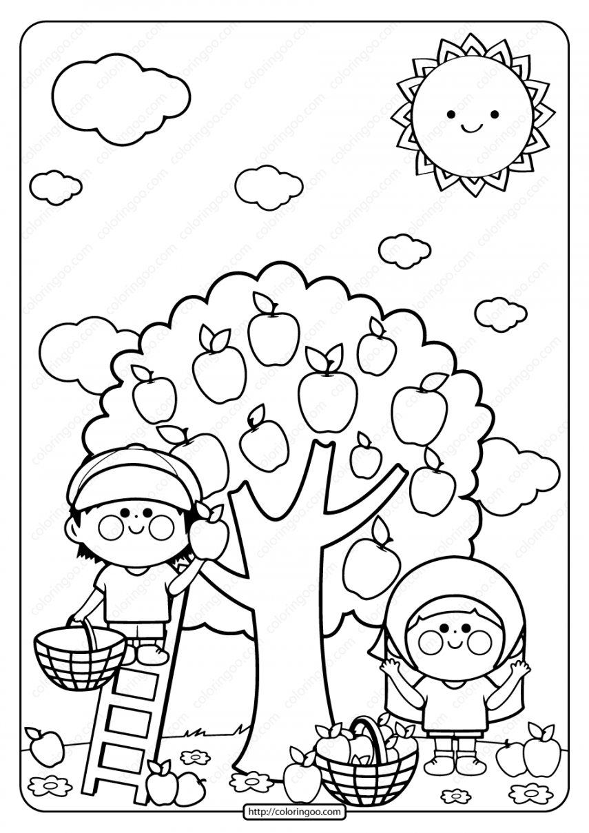 Printable Children Picking Apples Coloring Page  Apple coloring