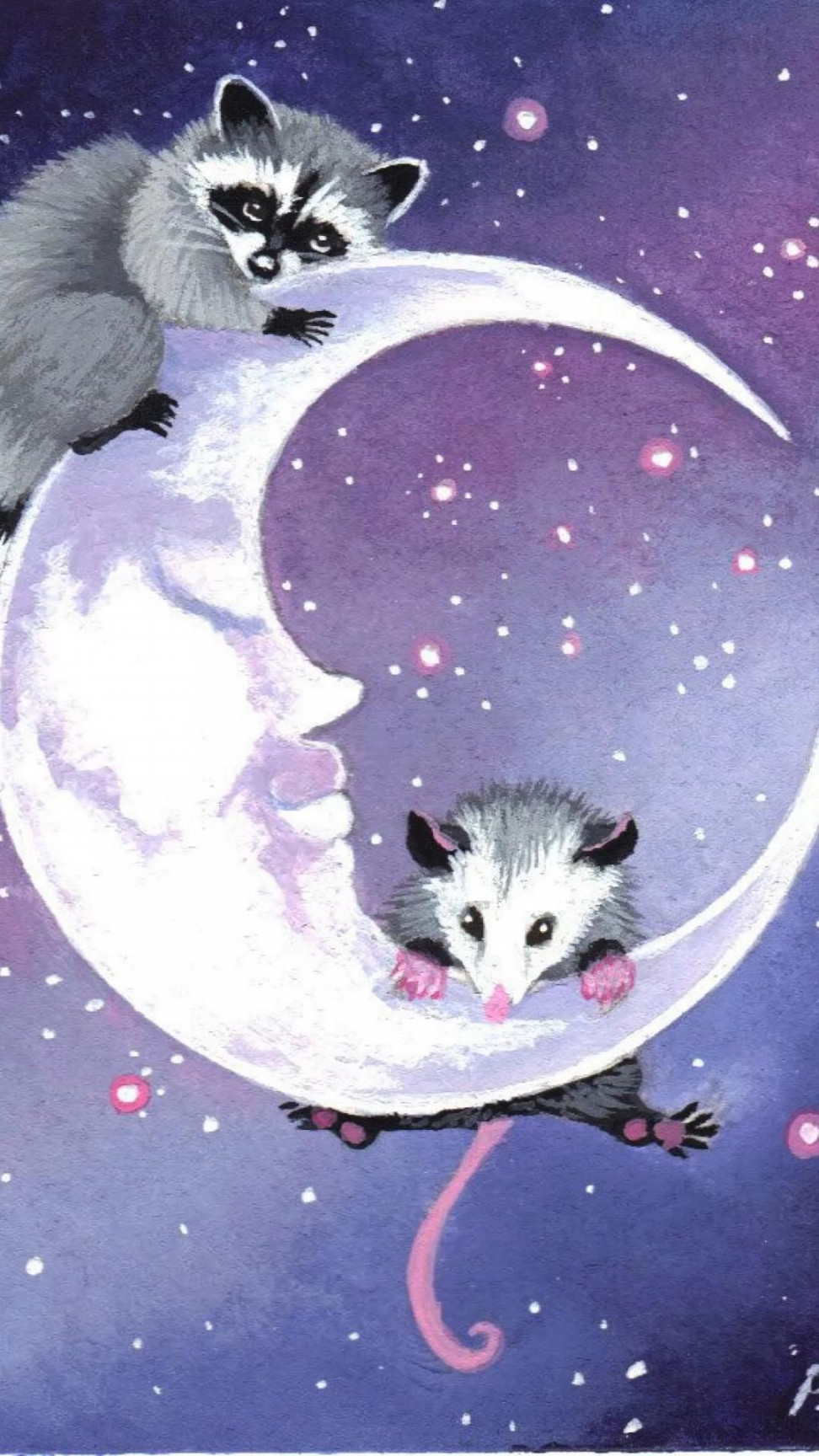 Raccoon and opossum  Raccoon art, Moon art, Animal art