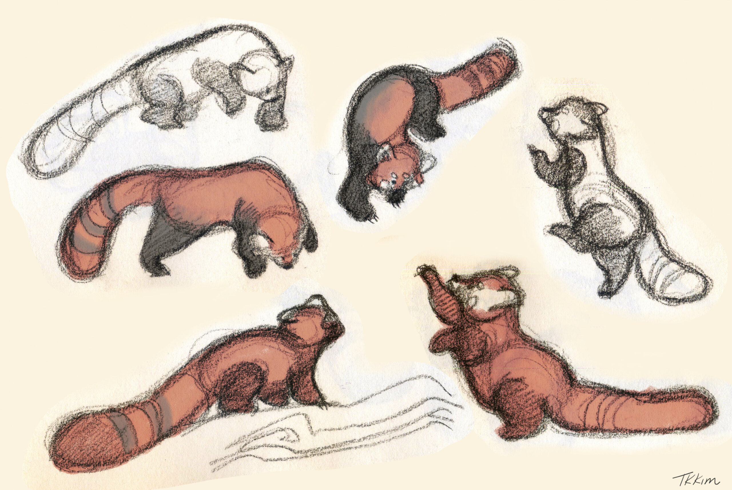 Red Panda Sketch – hope is handmade