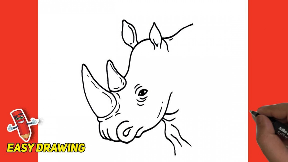 Rhinoceros Head Easy Drawings  How To Draw a Rhinoceros Head Step By Step   Easy Drawing Tutorial