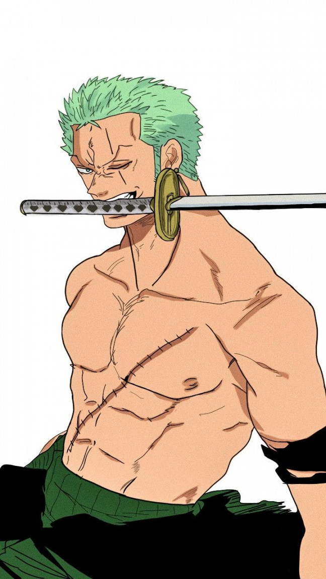 Roronoa Zoro - One Piece Fan Art