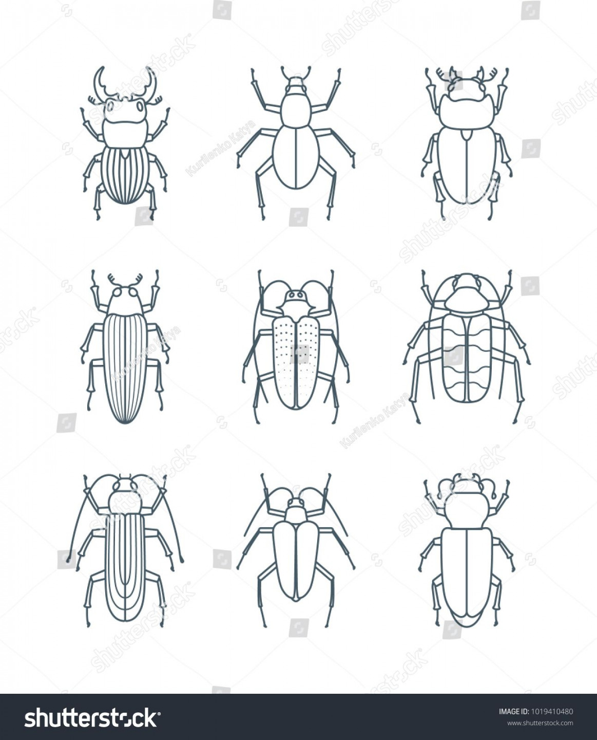 Set Simple Outline Beetle Icons Editable Stock Vector (Royalty