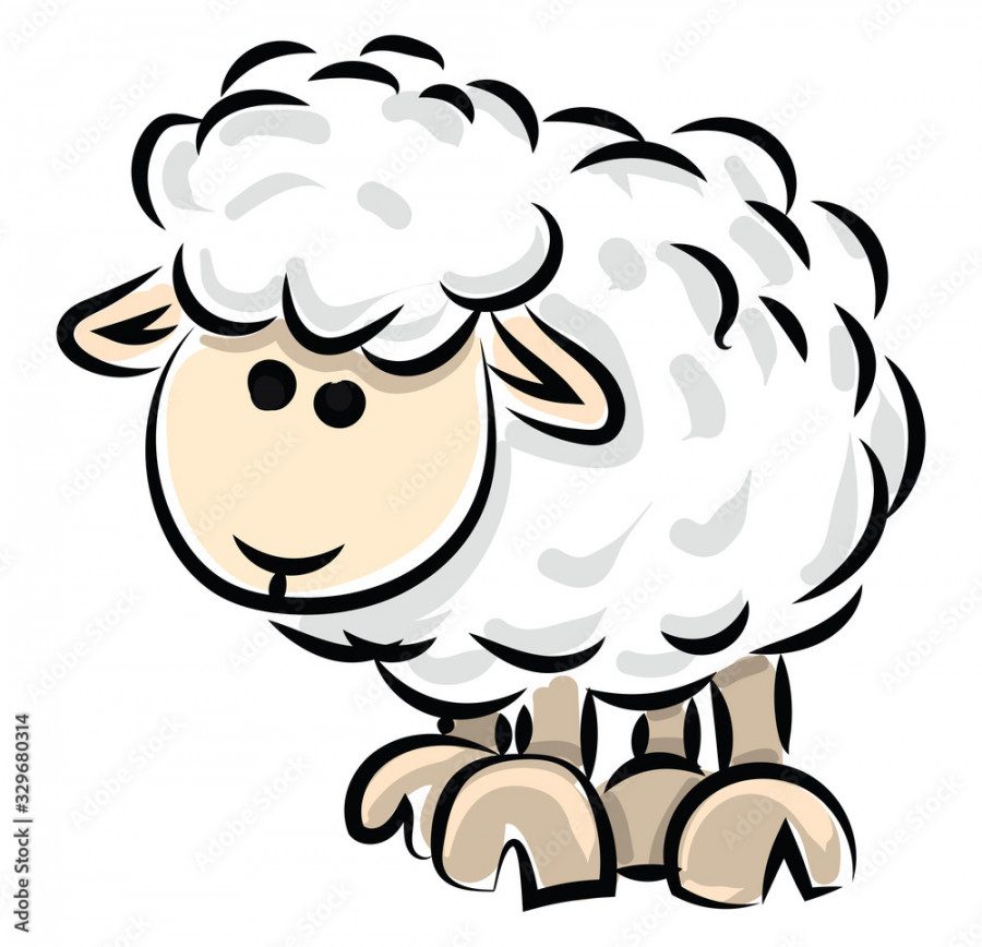 Sheep drawing, illustration, vector on white background