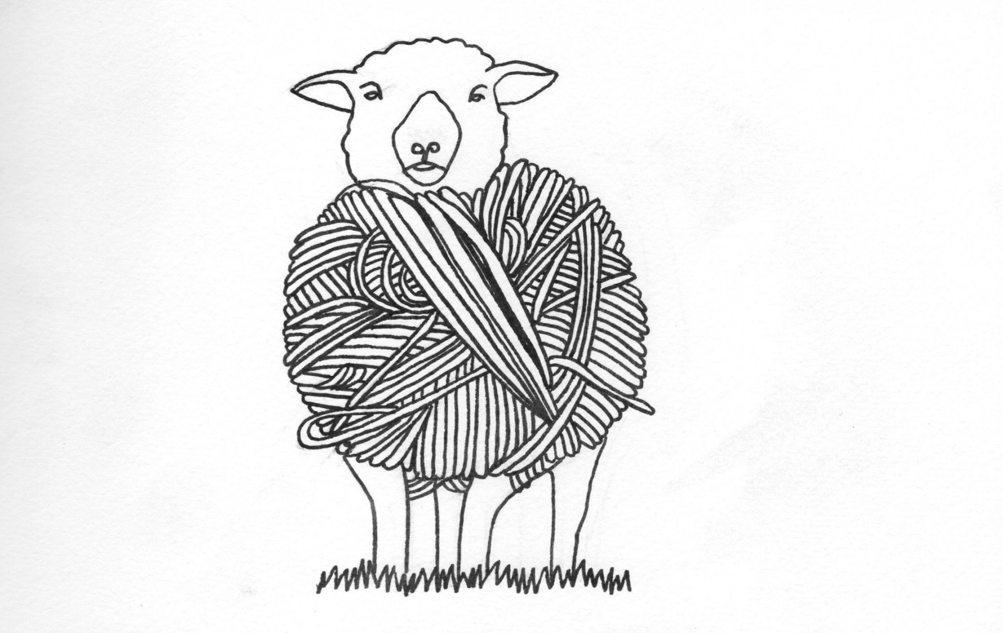 Sheep with Yarn Drawing  Mouton dessin, Dessins minimalistes