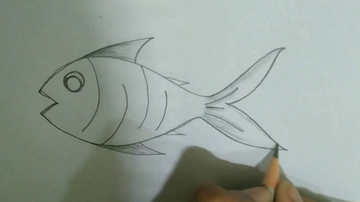 Simple pencil drawings for kids / simple fish drawing