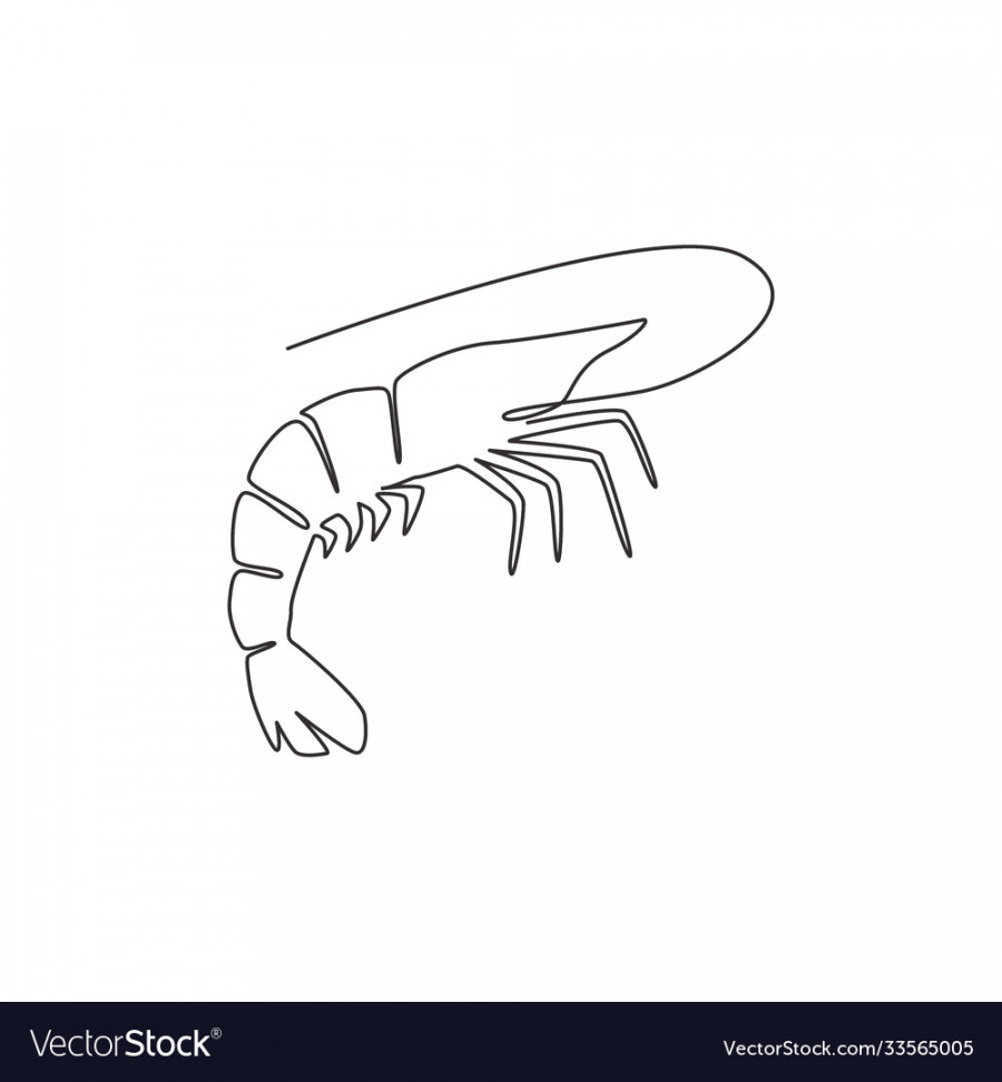 Single continuous line drawing big shrimp Vector Image