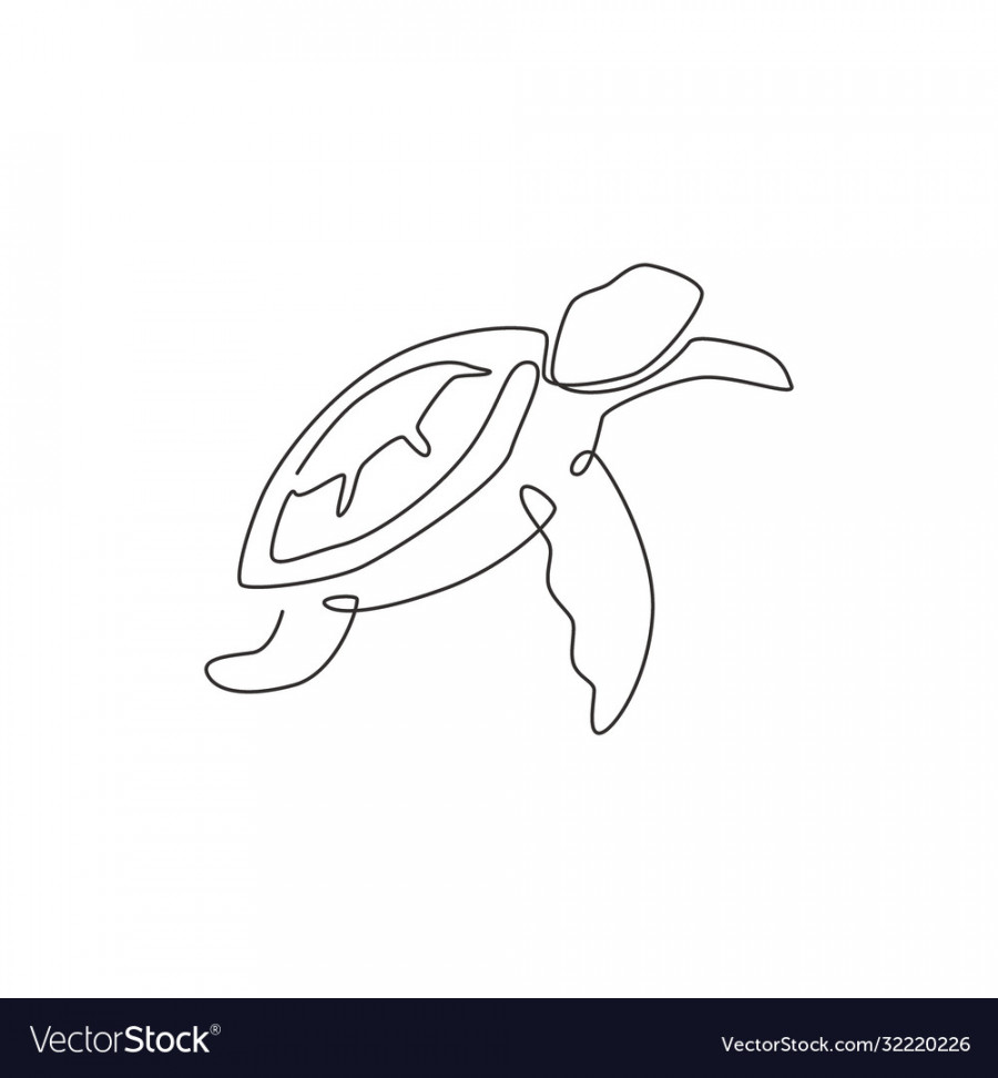 Single continuous line drawing big turtle Vector Image