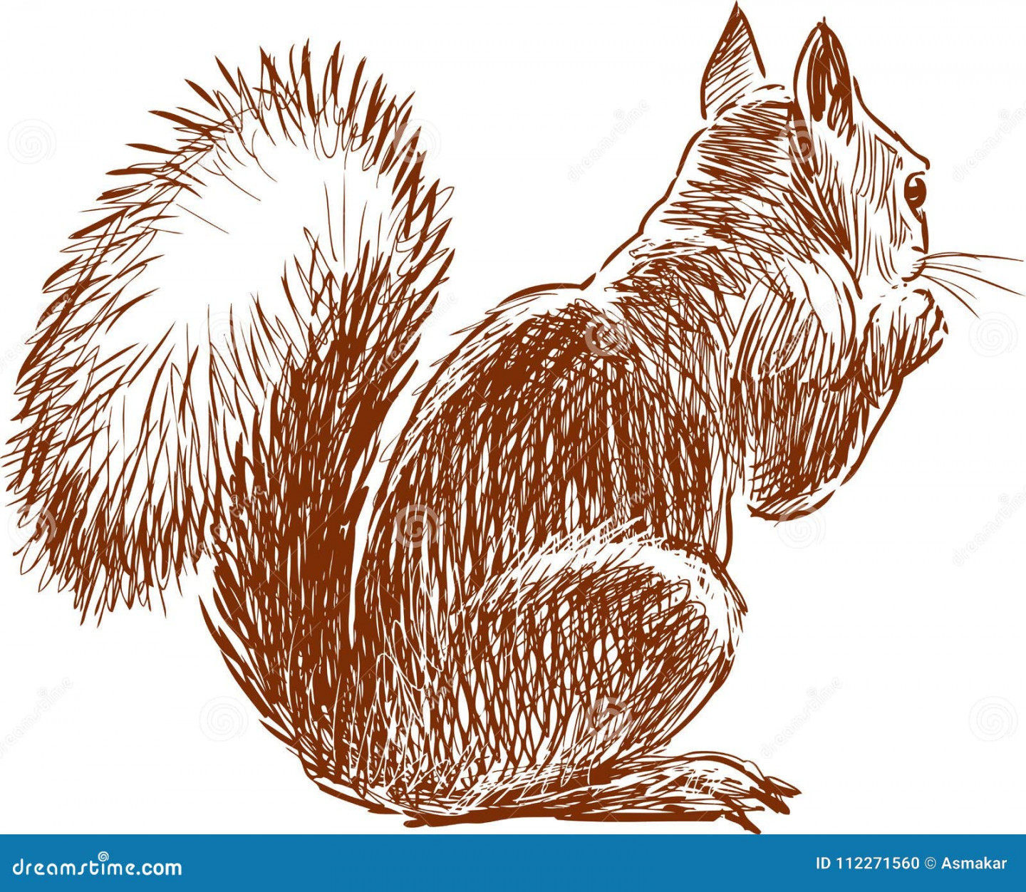 Sketch of a small squirrel stock vector