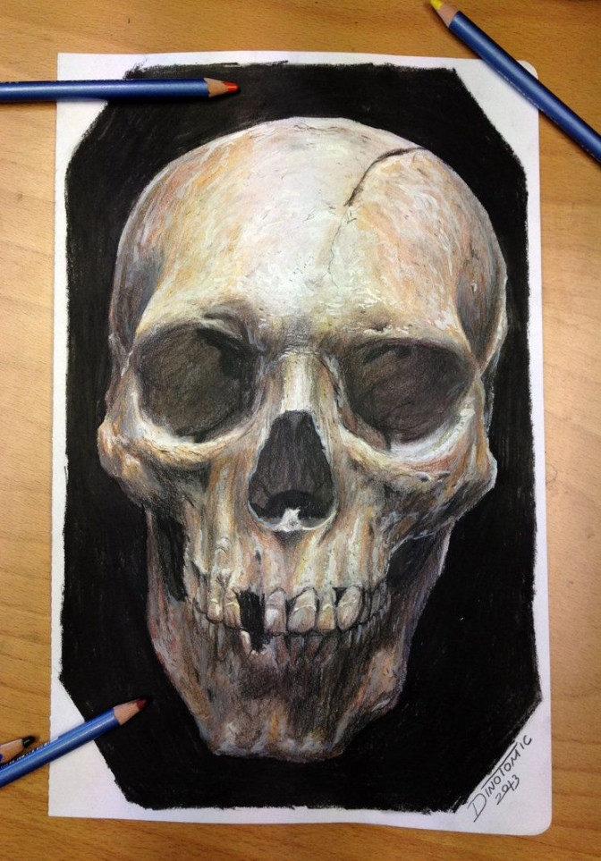 Skull color pencil drawing by AtomiccircuS on DeviantArt  Color