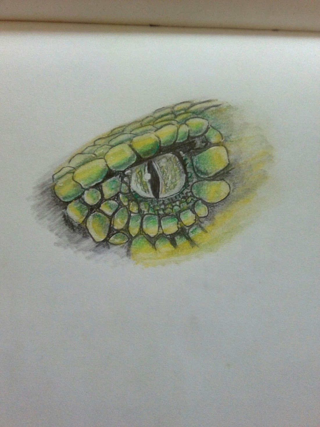 Snakes eye drawing 🐍  Snake painting, Eye painting, Snake sketch