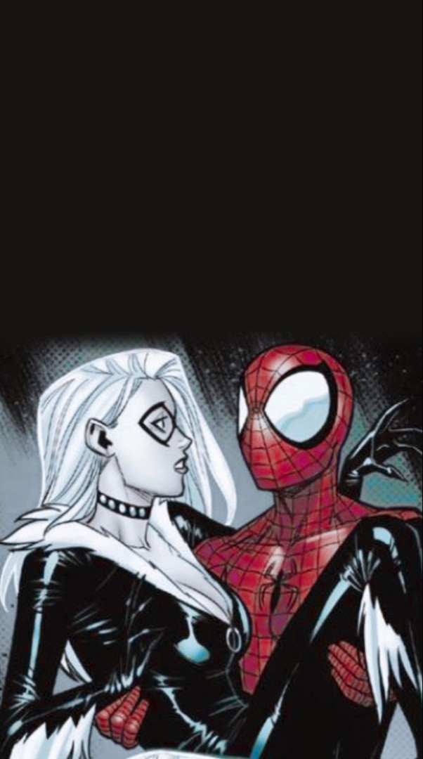 Spider-Man and Black Cat wallpaper  Black cat marvel, Spiderman