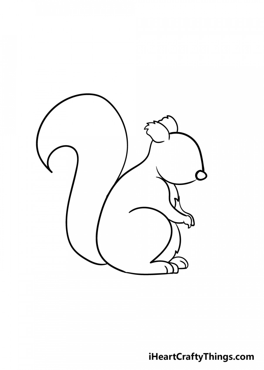 Squirrel Drawing - How To Draw A Squirrel Step By Step