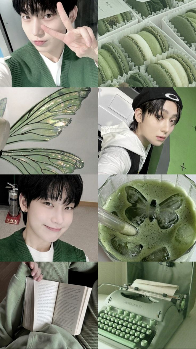 Sunoo lockscreen 💚  Green aesthetic, Green highlights, Sage green